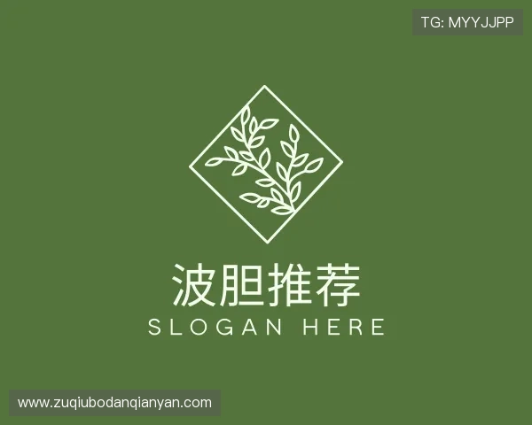 了解反波胆打发